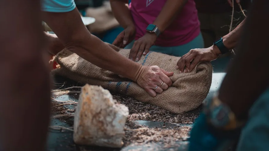 Empathy Makes You Easy Prey