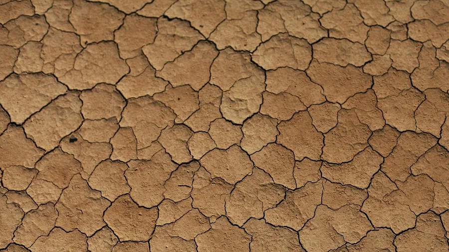 Environmental and Physical Despair