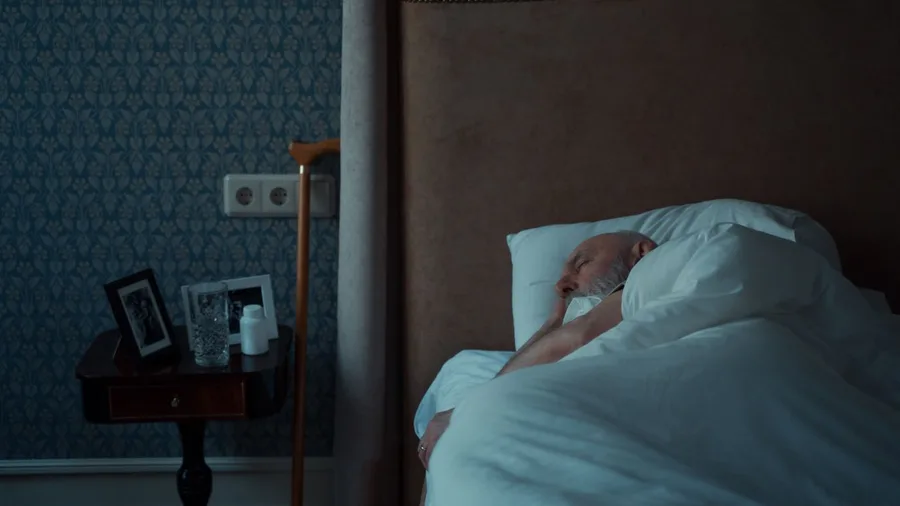 Aging and Alzheimer's Disrupt Completely Different Sleep Stages