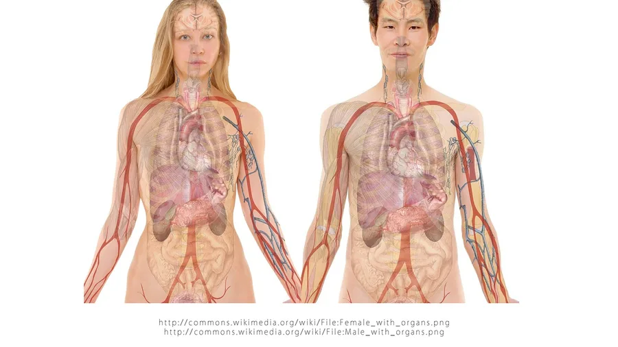 Most People with Fatty Liver Disease Never Know They Have It