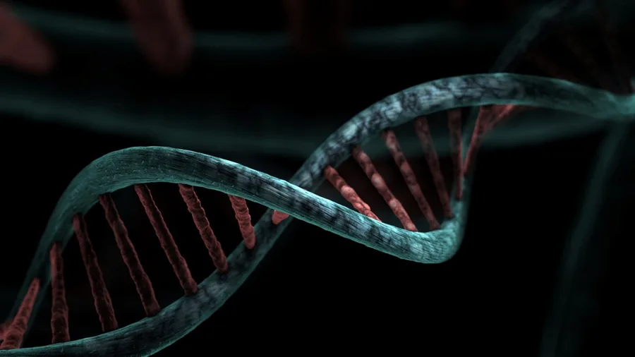 The Researchers Found Five Biological Groups Inside One Diagnosis