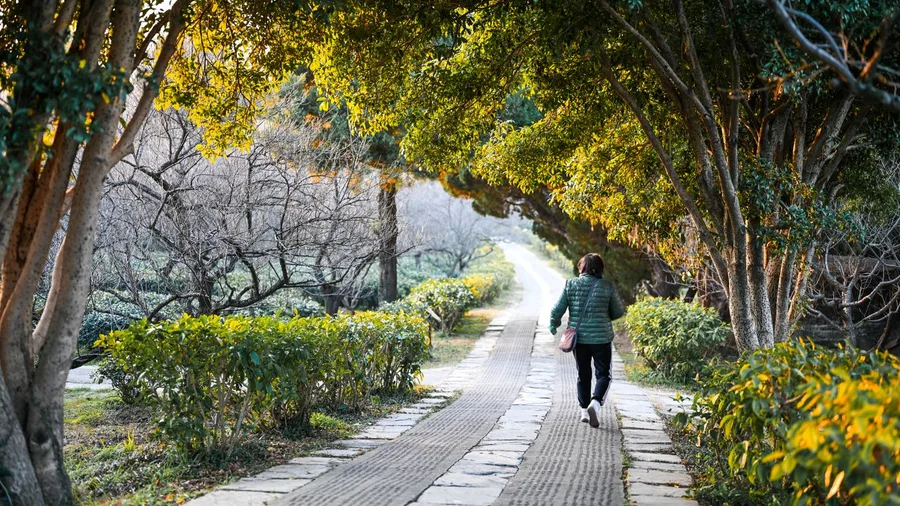 Slow Walks Synchronize the Thinking Rhythm