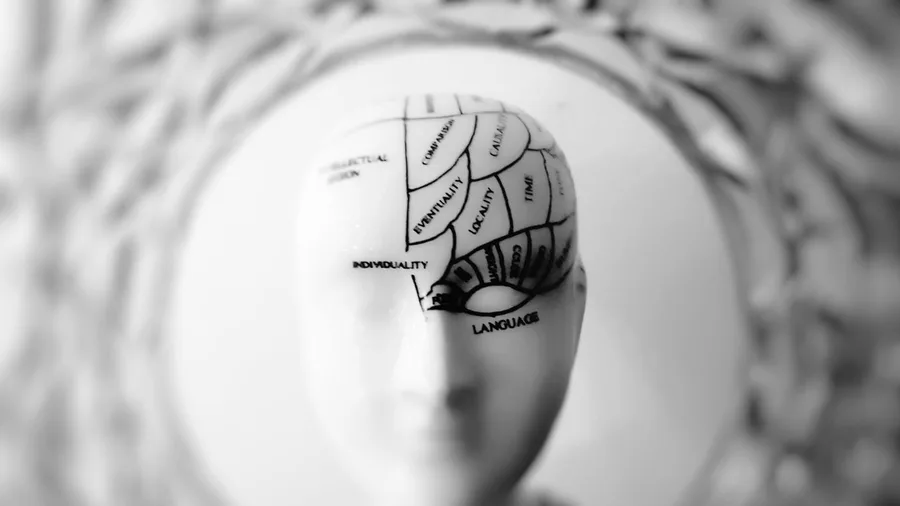 The Brain Draws Its Own Map Before Paper Existed