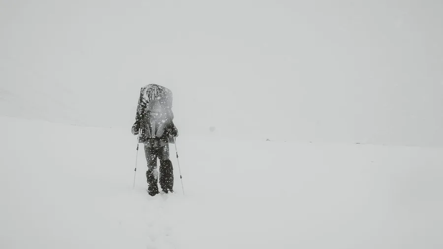 Smell, Wind, and Sound Told Navigators What Eyes Could Not