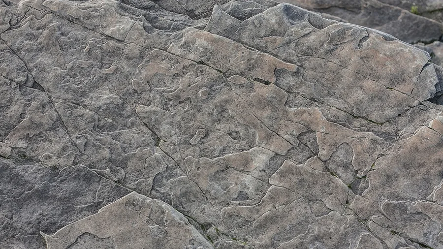 Gray Rock Is Deliberate Dullness, Not Silence