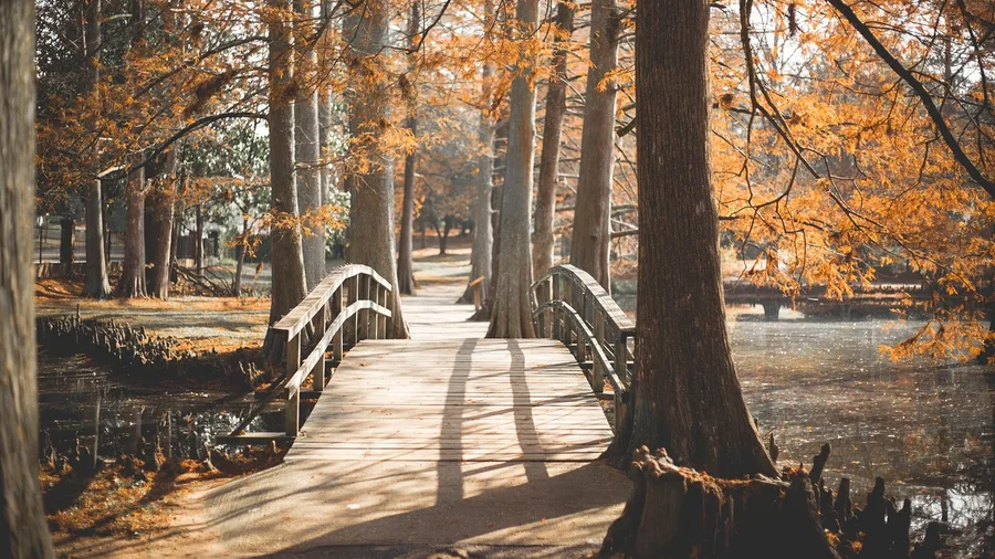 Gray Rock Is a Bridge, Not a Destination