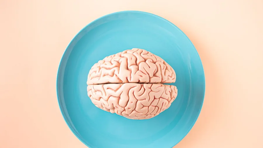 The Brain, Not the Heart, Governs Thought and Feeling