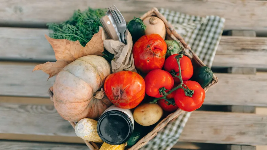 Diet and Digestion Shape Mood and Cognition