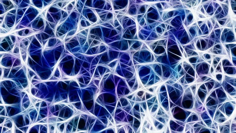 How Fibronectin Breaks the Brain's Supply-and-Waste Network