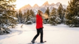 9 US National Parks That Are Actually Better (And Empty) When Covered in Snow