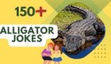Alligator Jokes – Swamp-Filled Fun Awaits