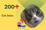 Cat Jokes – Unleash Endless Laughter and Fun