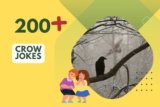 Crow Jokes – Hilarious Bird Humor for Everyone