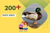 Duck Jokes – Hilarious Quacks for Family Fun