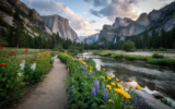 7 US National Parks Where You Can Ditch the Car