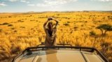 15 Epic Safari Destinations in Africa