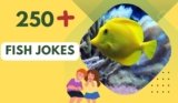 Fish Jokes – Dive into Laughter Today!