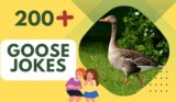 Goose Jokes – Hilarious Quacks for Family Fun