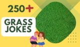 Grass Jokes – Unleash Your Lawn’s Humor Today