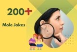 Mole Jokes – Laughter Beneath the Surface