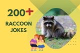 Raccoon Jokes – Unleash Laughter with Hilarious Humor