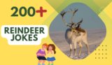 Reindeer Jokes – Family Laughter for Holiday Cheer