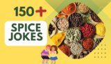 Spice Jokes – Laughter with Every Pinch!