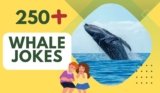 Whale Jokes – Laughter Deep as the Ocean
