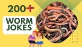 Worm Jokes – Dive into Soil-Deep Humor Today