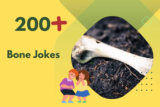 Bone Jokes – Laughter to Ease the Pain