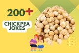 Chickpea Jokes – Humor for Foodies and Vegans