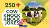 Cow Knock Knock Jokes – Fresh Laughs from the Farm