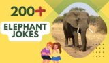 Elephant Jokes – Hilarious Family-Friendly Humor