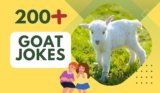 Goat Jokes – Laughter and Levity Guaranteed