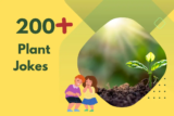 Plant Jokes – Relieve Stress with Green Humor