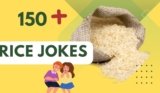 Rice Jokes – From Fields to Fits of Giggles